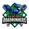 ralph garr roadrunners